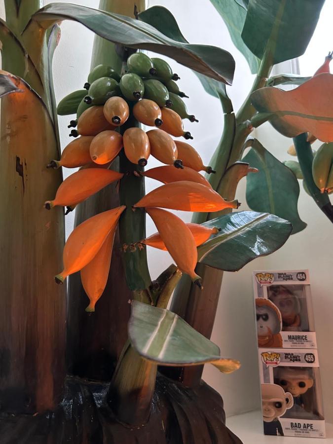 Monkey Tree Stay Schiedam Esterno foto